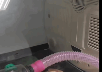 T2205009 All they need is love part2