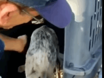 T2205006 From fear to family part2