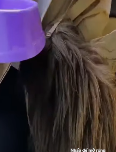 T0506007 Extremely Matted Dog from Gas Station has Whole New Personality now part2