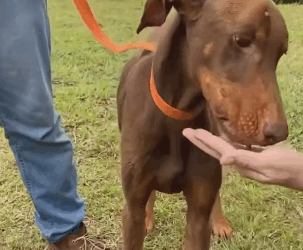 T2205010 Scared eyes. Soft heart part2