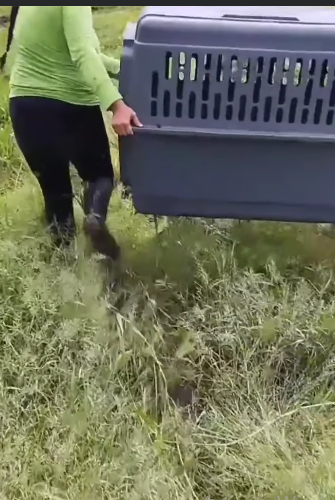 T2205005 From homeless to hopeful part2