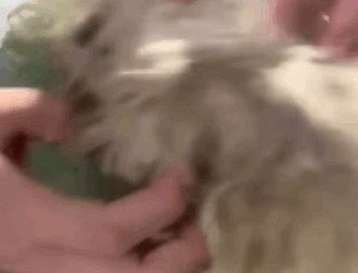 T2205011 From fear to forever part2