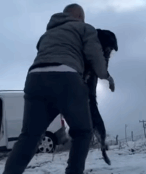 T1604014 Rescue of a dog abandoned in the snow with serious problem part2