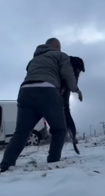 T1604014 Rescue of a dog abandoned in the snow with serious problem part2
