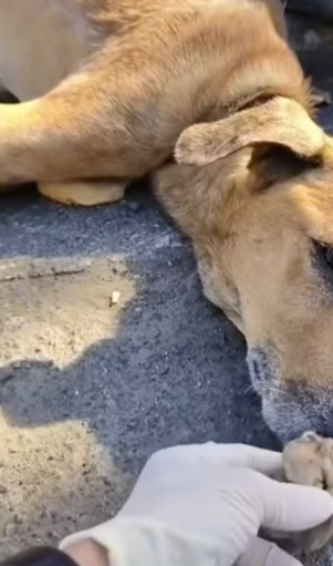 T1604011 A new chapter begins part2