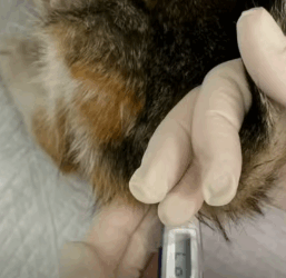 T1604016 Fear turned into trust part2