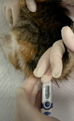 T1604016 Fear turned into trust part2