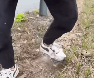 T0406074 Rescue baby dog fyp rescue animal rescueanimal dog rescuedog part2