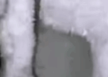 T0506039 Cat jaw hurt him that he couldn even open his mouth poor cat crying in the middle on night part2