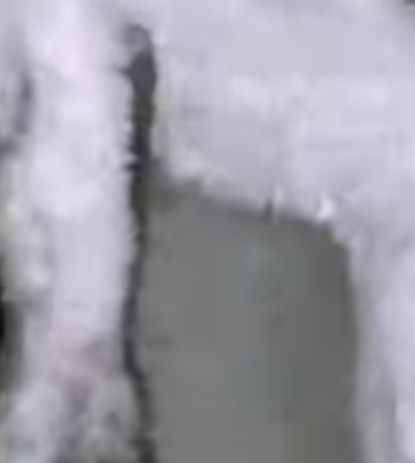 T0506039 Cat jaw hurt him that he couldn even open his mouth poor cat crying in the middle on night part2