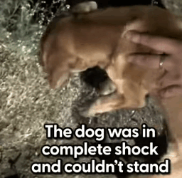 T1604037 Love lives here now part2