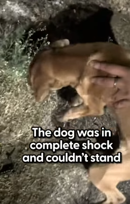 T1604037 Love lives here now part2