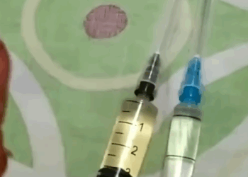 T2705015 The Dog Has Been Lying In The Street All Night And Does Not Dare To Return Home part2