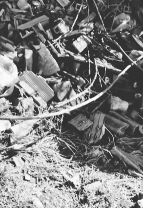 T1604021 Rescue of a family of abandoned dogs❤️ #heroes#rescue#family part2