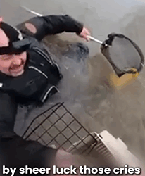 T1905003 Squirrel Life Was on the Line Then Stranger Appeared part2