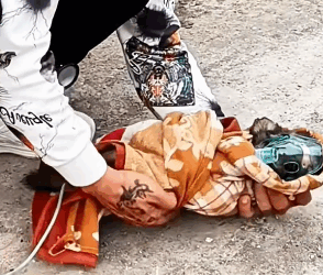 T0406063 Rescue baby dog fyp animal rescue rescueanimal rescuedog rescue part2