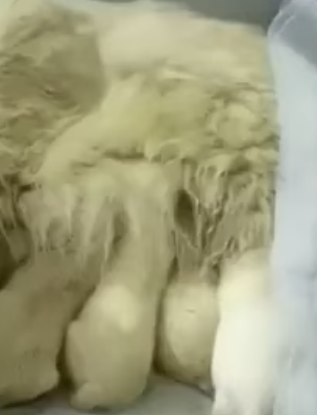 T0506048 The Smiling Angel That Was Abandoned part2