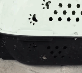 T0506035 After the accident this poor cat became MAMMA immediately no one stopped the car to help her part2