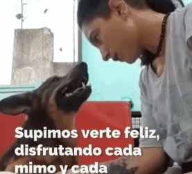 T2305003 Rescue of an abandoned dog is tied❤️ #heroes #rescue #dog part2