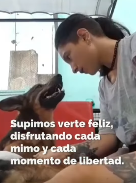 T2305003 Rescue of an abandoned dog is tied❤️ #heroes #rescue #dog part2