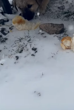 T1505006 Someone finally saw him part2