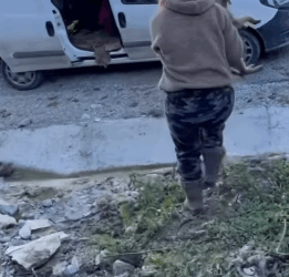 T1705003 Rescue of a small abandoned dog who doesn’t know much part2