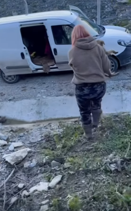 T1705003 Rescue of a small abandoned dog who doesn’t know much part2