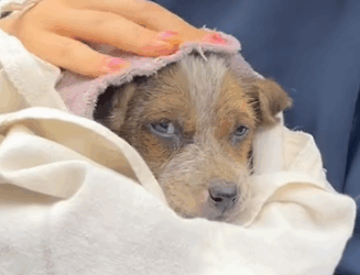 She was all wet and all by herself — wait to see where she ended up 3 months later_part2