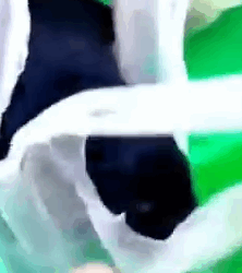 Part2.Animals Rescue #dogrescue #rescuedog #dogsofttiktok #foryoupage #foryou #dogs