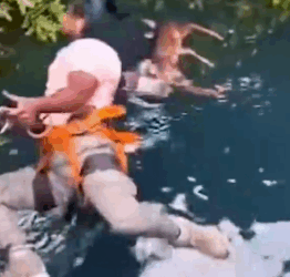 Part2.Animals Rescue #dogrescue #rescuedog #dogsofttiktok #foryoupage #foryou #dogs