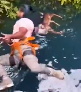 Part2.Animals Rescue #dogrescue #rescuedog #dogsofttiktok #foryoupage #foryou #dogs