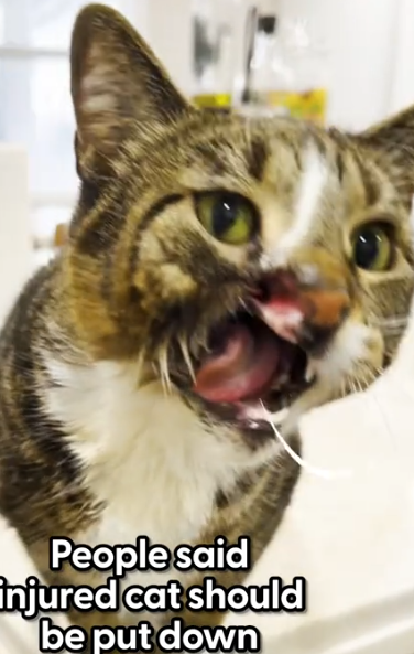 He loves screaming at his mom for more food 😂 Meagan told us how she never gave up on Figaro,_part2