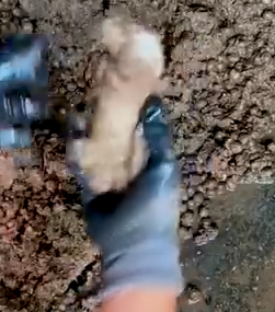 A Lucky Rescue of Rabbit 🐰🥹_part2