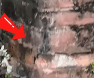 I found a little cat on a rainy day.It fell into the water.I saved it right away_part2