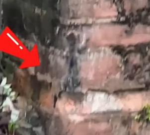 I found a little cat on a rainy day.It fell into the water.I saved it right away_part2