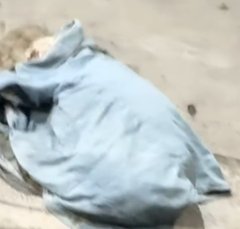 Part2 Animals Rescue #dogrescue #rescuedog #dogsofttiktok #foryoupage #foryou #dogs