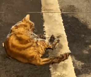 Every breath was a fight for survival_part2