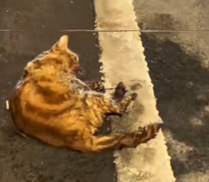 Every breath was a fight for survival_part2