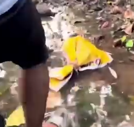 A Man Found A Puppy Who was Packed And Abondoned By Someone_part2