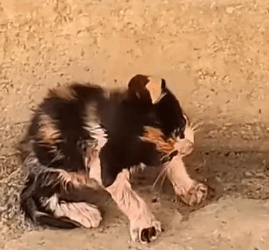 From Almost Dead To Full Of Hope_part2