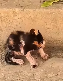 From Almost Dead To Full Of Hope_part2