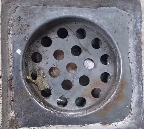 Rescuing stray kitten from drain pipe 🐈_part2