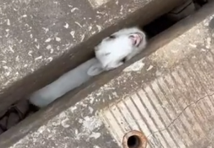 He really needed some help 😭_part2