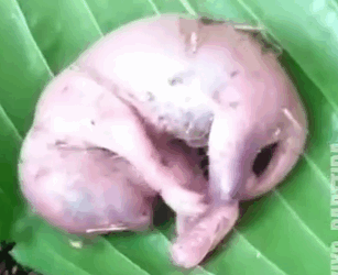 After Falling From Nes_part2