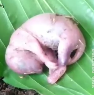 After Falling From Nes_part2