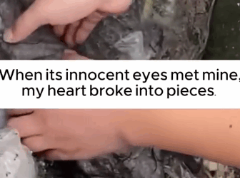 Helpless Puppy Abandoned in a Trash Can_part2