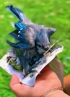 Bird Rescued From a Sticky Paper 😱❤_part2