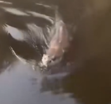 Poor Life Almost Crushed Under Neglect_part2