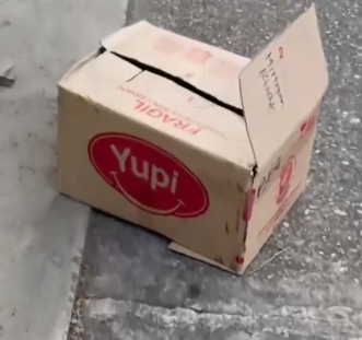 Part2 Animals Rescue #dogrescue #rescuedog #dogsofttiktok #foryoupage #foryou #dogs