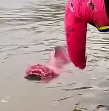 Girl Svaed A Drowning God From The river_part2